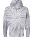 Dyenomite 854CY Cyclone Hooded Sweatshirt in Silver back view