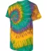 Dyenomite 200RP Ripple Pigment Dyed T-Shirt in Nola ripple side view