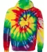 Dyenomite 854MS Multi-Color Spiral Pullover Hooded in Michelangelo spiral back view