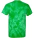 Dyenomite 200PR Pawprint Short Sleeve T-Shirt Kelly back view