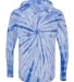 Dyenomite 430VR Tie-Dyed Hooded Pullover T-Shirt in Royal back view