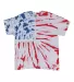 Dyenomite 200NV Novelty Tie Dye T-Shirt in Fantastic flag front view
