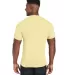 Hanes 42TB X-Temp Triblend T-Shirt with Fresh IQ o Lemon Meringue Heather back view