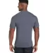 Hanes 42TB X-Temp Triblend T-Shirt with Fresh IQ o Dada Grey back view