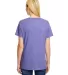 Hanes 42VT Women's V-Neck Triblend Tee with Fresh  Grape Triblend back view