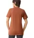 TR401W Triblend Track T-Shirt in Tri-rust back view