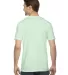 American Apparel 2001W Fine Jersey T-Shirt Lime back view