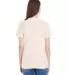 American Apparel 23215OW Ladies' Organic Fine Jers ORGANIC NATURAL back view