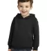 244 CAR78TH Port & Company Toddler Core Fleece Pul Jet Black front view