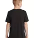 DT130Y District Made  Youth Perfect Tri  Crew Tee Black back view