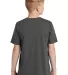 DT130Y District Made  Youth Perfect Tri  Crew Tee Charcoal back view