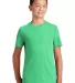 DT130Y District Made  Youth Perfect Tri  Crew Tee Green Frost front view
