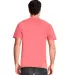 Next Level Apparel 7410 Inspired Dye Crew in Guava back view