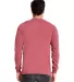 Next Level 7451 Inspired Dye Long Sleeve Pocket Cr in Smoked paprika back view