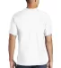 Gildan H000 Hammer Short Sleeve T-Shirt in White back view