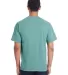 Comfort Wash GDH100 Garment Dyed Short Sleeve T-Sh in Spanish moss back view