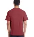 Comfort Wash GDH100 Garment Dyed Short Sleeve T-Sh in Cayenne back view