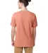 Comfort Wash GDH100 Garment Dyed Short Sleeve T-Sh in Clay back view