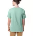 Comfort Wash GDH100 Garment Dyed Short Sleeve T-Sh in Honeydew back view