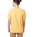 Comfort Wash GDH100 Garment Dyed Short Sleeve T-Sh in Butterscotch back view