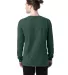 Comfort Wash GDH200 Garment Dyed Long Sleeve T-Shi in Field green back view