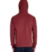 Comfort Wash GDH450 Garment Dyed Unisex Hooded Pul in Cayenne back view