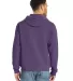 Comfort Wash GDH450 Garment Dyed Unisex Hooded Pul in Grape soda back view