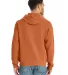 Comfort Wash GDH450 Garment Dyed Unisex Hooded Pul in Texas orange back view