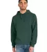Comfort Wash GDH450 Garment Dyed Unisex Hooded Pul in Field green front view