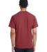 Comfort Wash GDH150 Garment Dyed Short Sleeve T-Sh in Cayenne back view