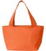 Liberty Bags 8808 Simple and Cool Cooler in Orange back view