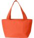 Liberty Bags 8808 Simple and Cool Cooler in Neon orange back view