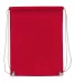 Liberty Bags 8887 Nylon Drawstring Backpack with W RED back view