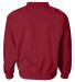 Augusta Sportswear 3415 Micro Poly Windshirt in Red back view
