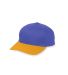 Augusta Sportswear 6206 Youth Six-Panel Cotton Twi in Purple/ gold front view