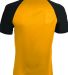 Augusta Sportswear 1509 Youth Wicking Short Sleeve in Gold/ black back view