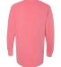 Comfort Colors 1536 French Terry Crewneck WATERMELON back view