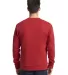 Next Level Apparel 9001 Unisex Crew with Pocket RED back view