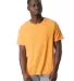 Alternative Apparel 1010 The Outsider Tee STAY GOLD front view