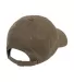 Yupoong 6245PT Peached Cotton Twill Dad Cap in Loden back view