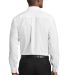 Red House RH240   Pinpoint Oxford Non-Iron Shirt White back view