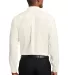 Red House RH240   Pinpoint Oxford Non-Iron Shirt in Ivorychiff back view
