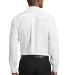 Red House RH240   Pinpoint Oxford Non-Iron Shirt in White back view