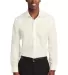 Red House RH620   Slim Fit Pinpoint Oxford Non-Iro in Ivorychiff front view
