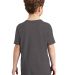 District Clothing DT6000Y DistrictÂ® Youth Very  Hthrd Charcoal back view