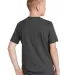 District Clothing DT6000Y District Youth Very Impo in Charcoal back view