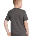 District Clothing DT6000Y District Youth Very Impo in Hthrd charcoal back view