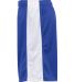 Badger Sportswear 2241 Pro Mesh Youth Challenger S Royal/ White side view