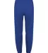 Badger Sportswear 1575 Unbrushed Poly Trainer Pant Royal back view
