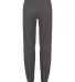 Badger Sportswear 2575 Trainer Youth Pants Graphite back view